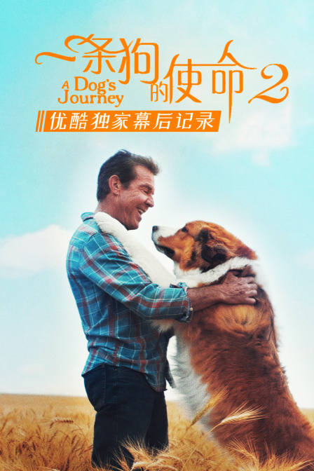 《一条狗的使命2》优酷独家幕后记录