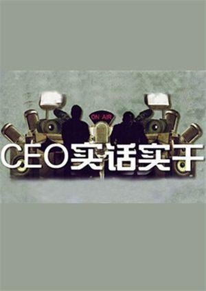 CEO实话实干 2011