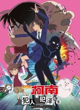 名侦探柯南犯人犯泽先生国语