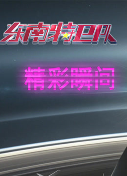 东南特卫队精彩瞬间